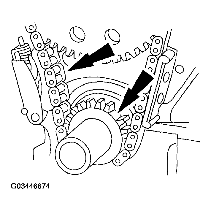 G03446674
