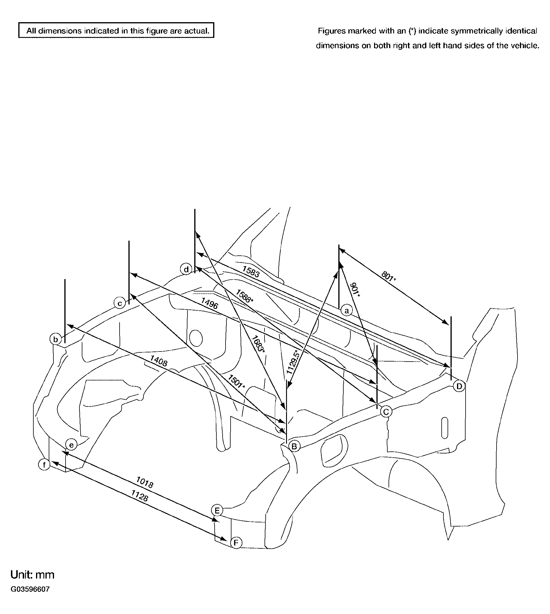 G03596607