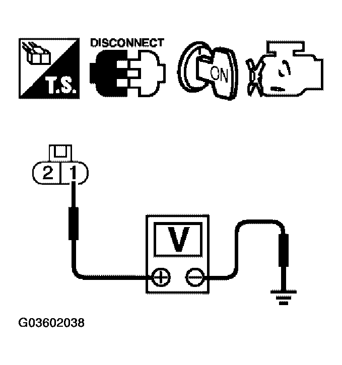 G03602038
