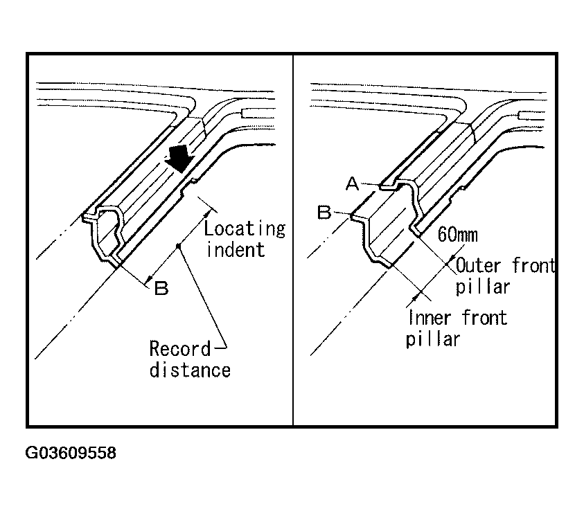 G03609558