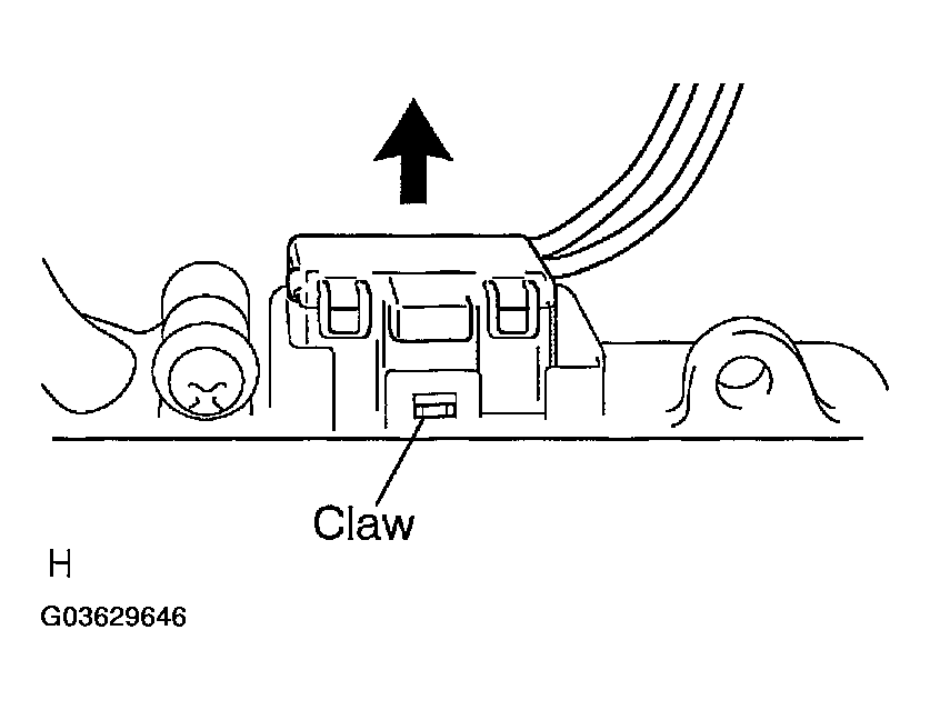 G03629646