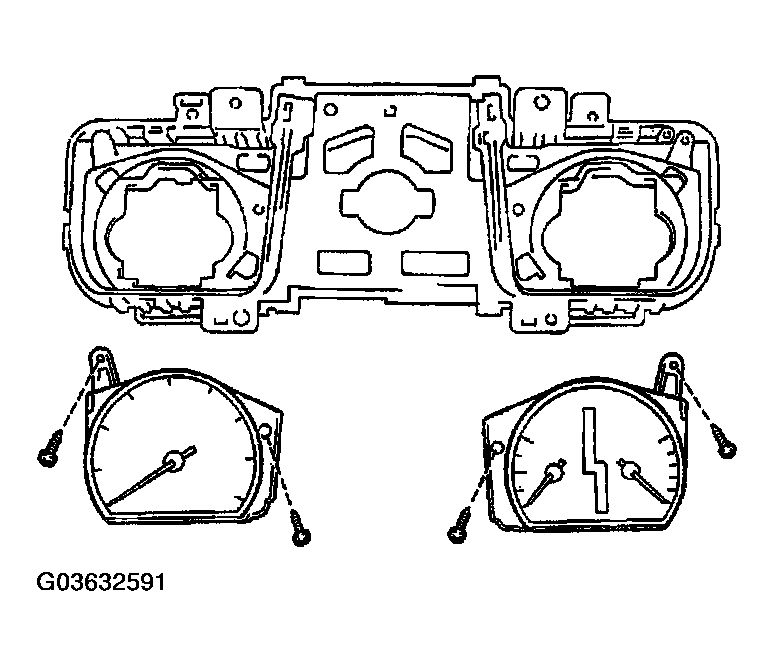 G03632591