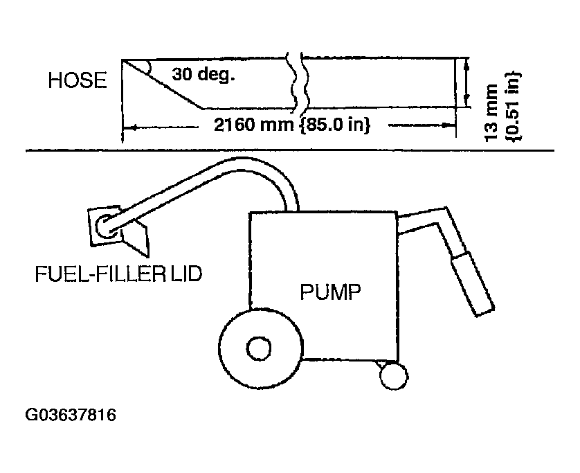 G03637816