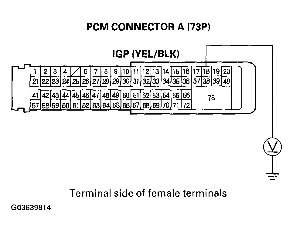 G03639814