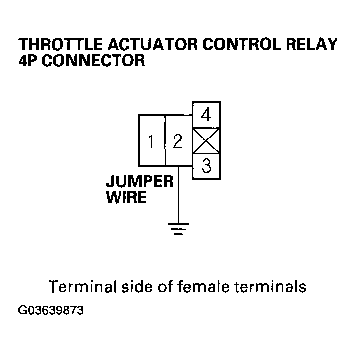 G03639873