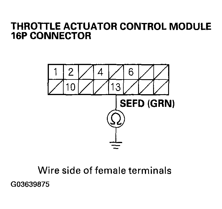G03639875