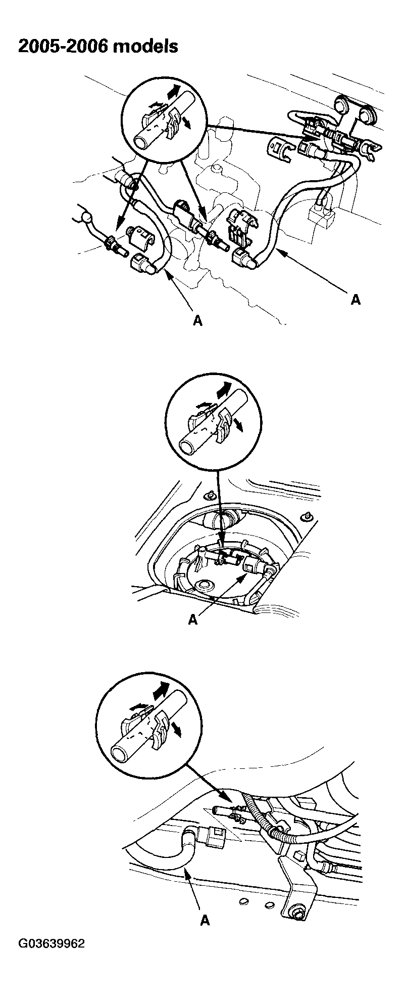 G03639962