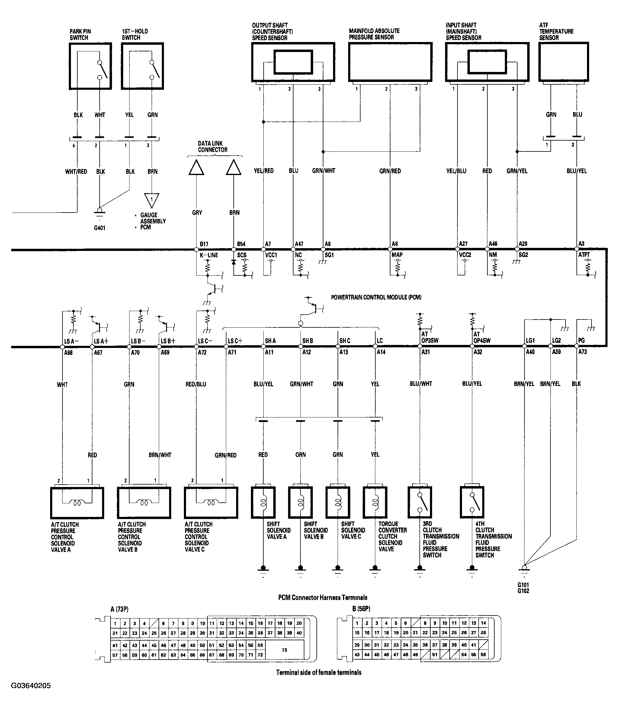 G03640205