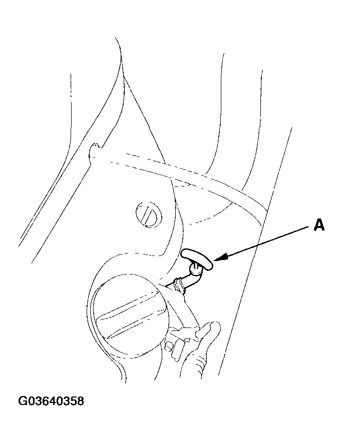 G03640358