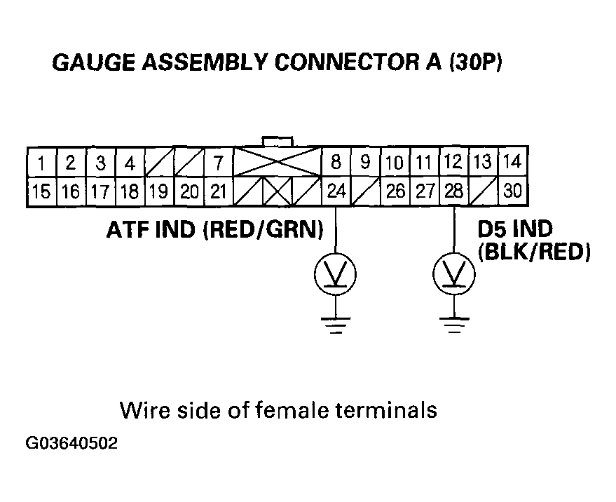 G03640502