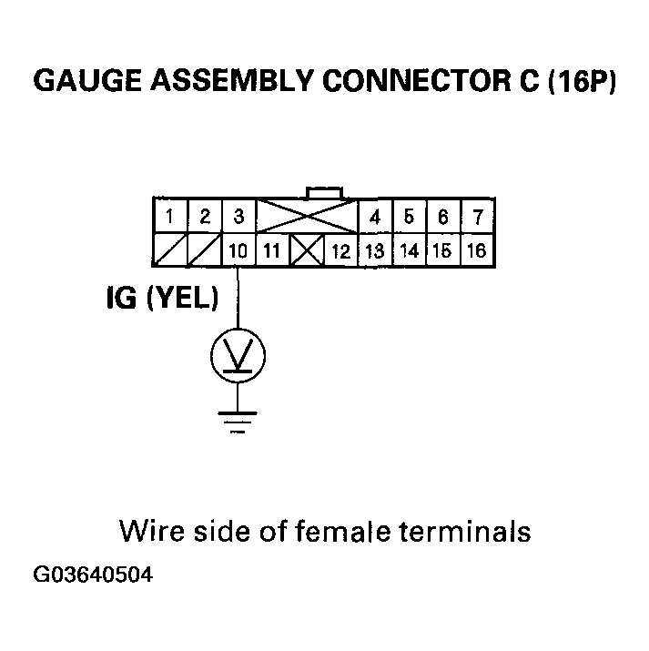 G03640504