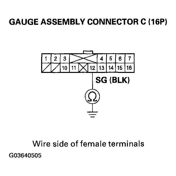 G03640505