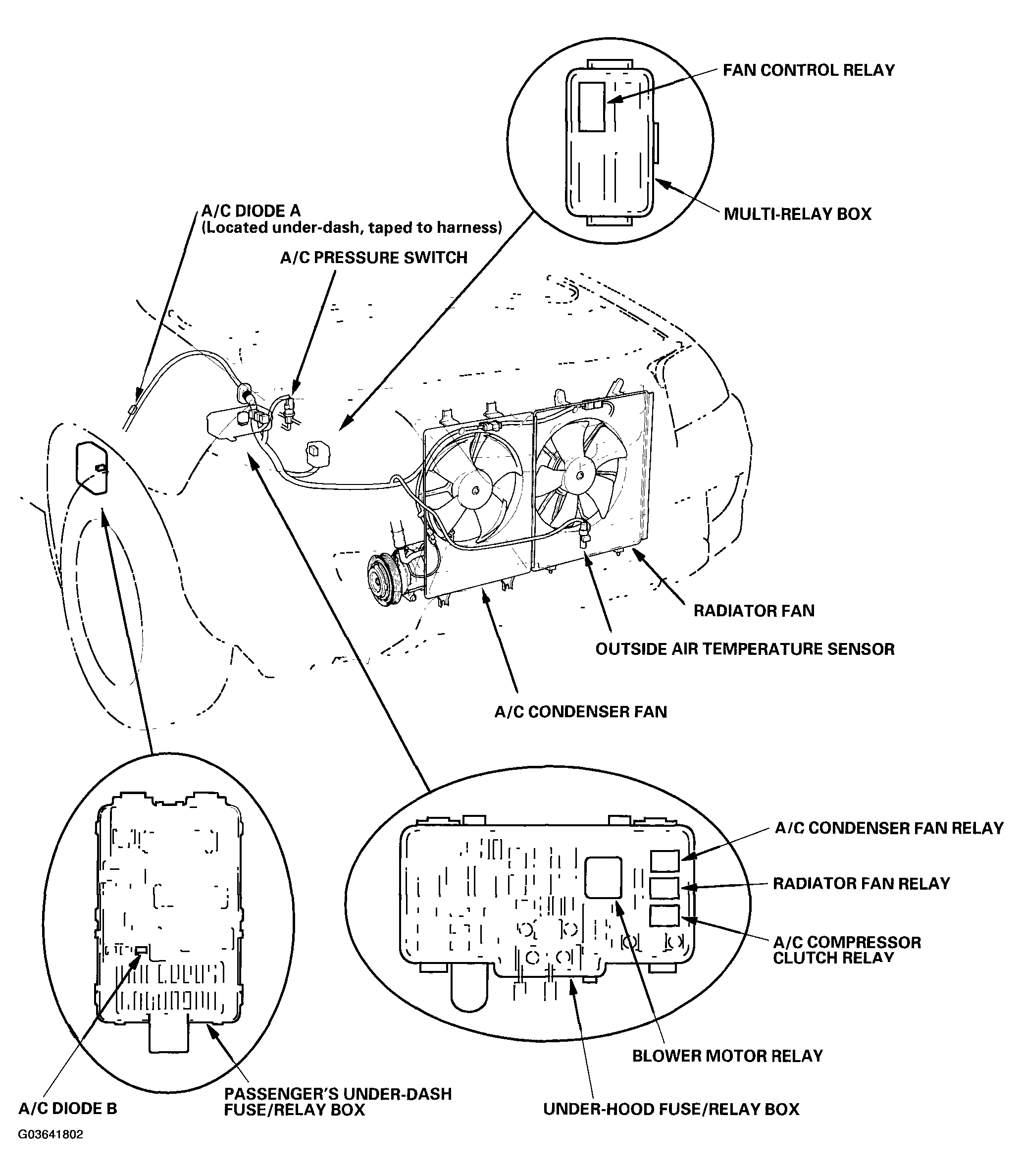 G03641802