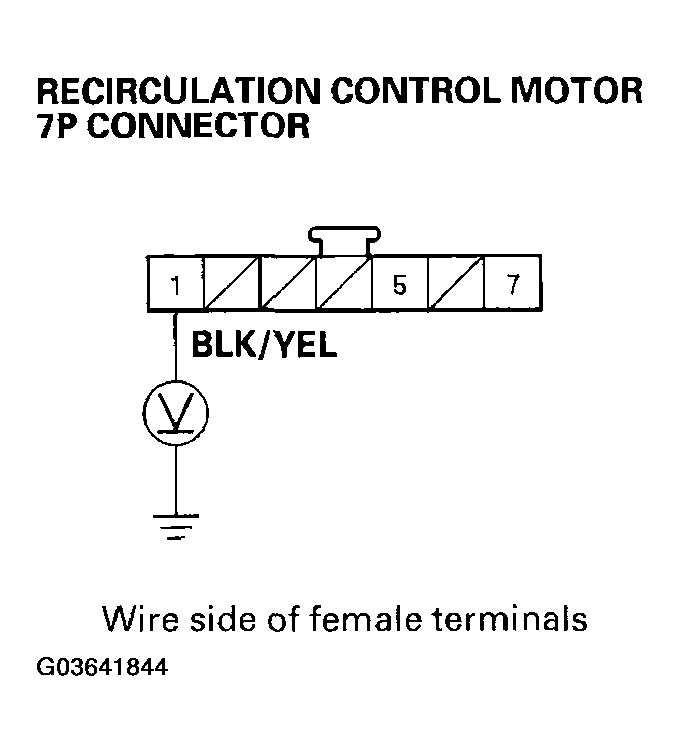 G03641844