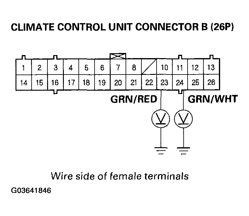 G03641846