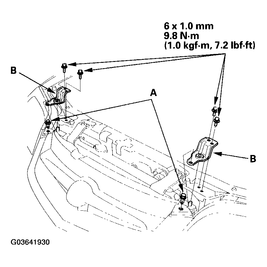 G03641930