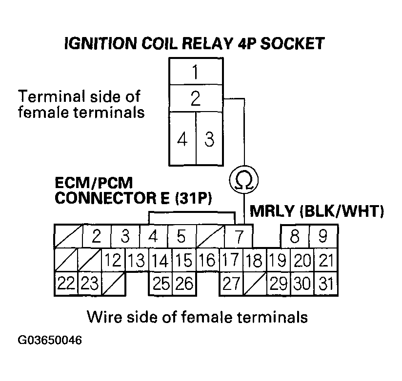 G03650046