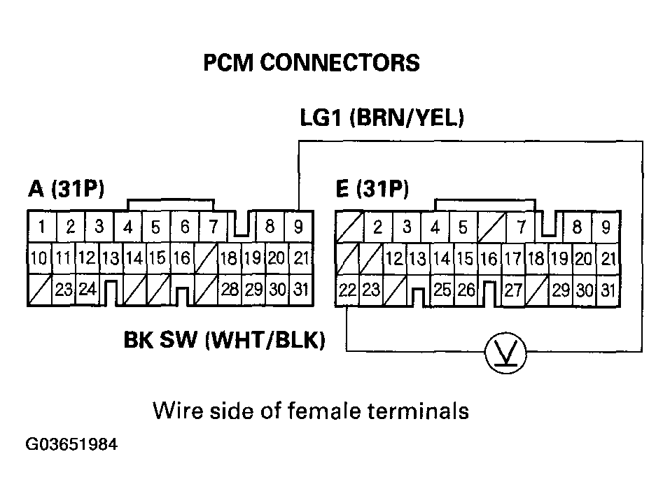 G03651984