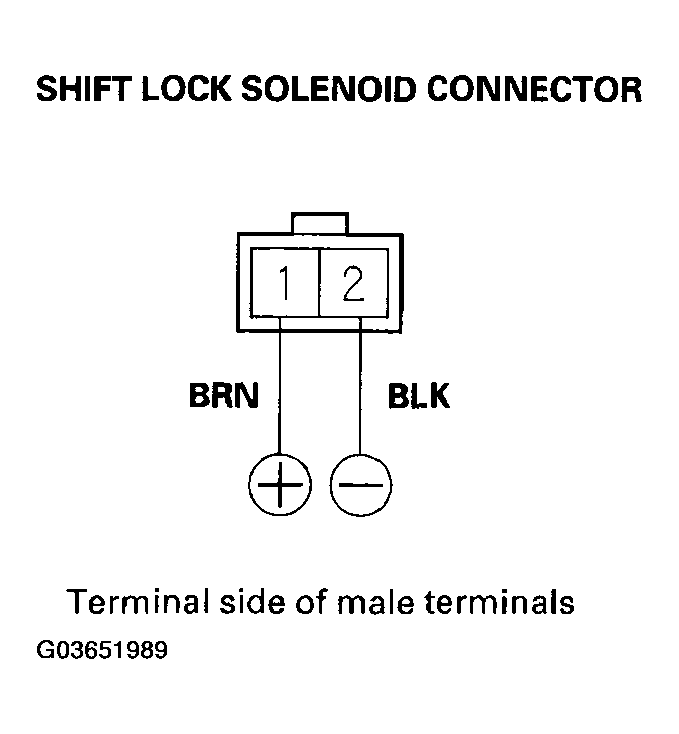 G03651989