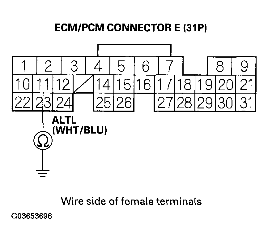 G03653696