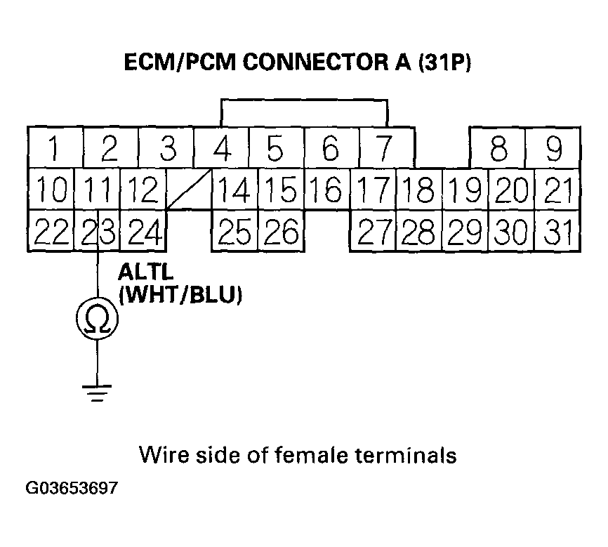 G03653697