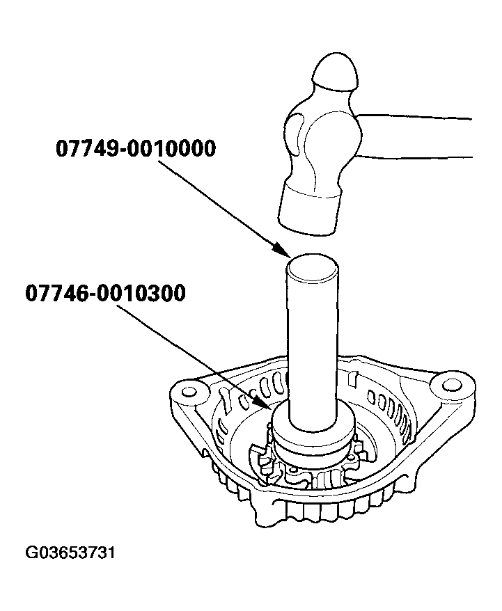 G03653731