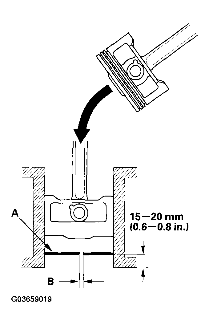 G03659019