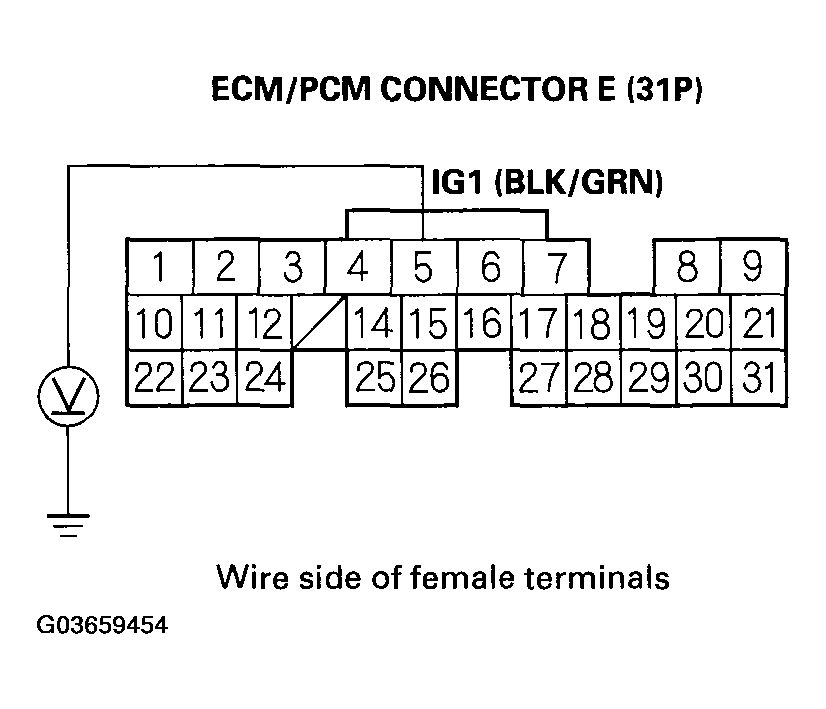 G03659454