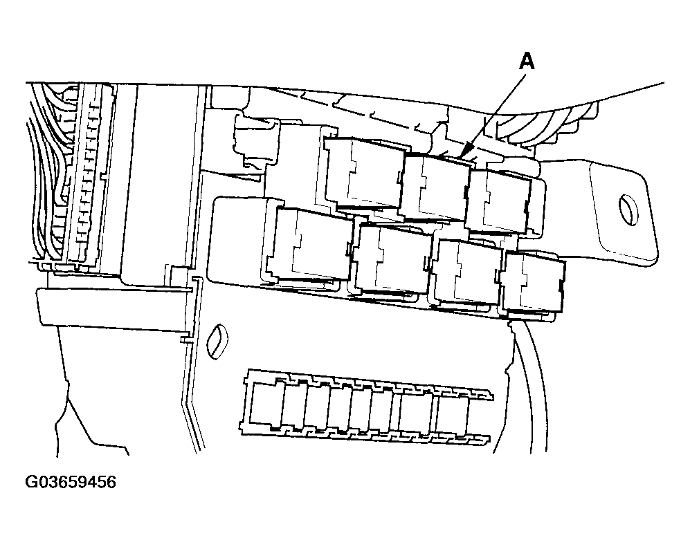 G03659456