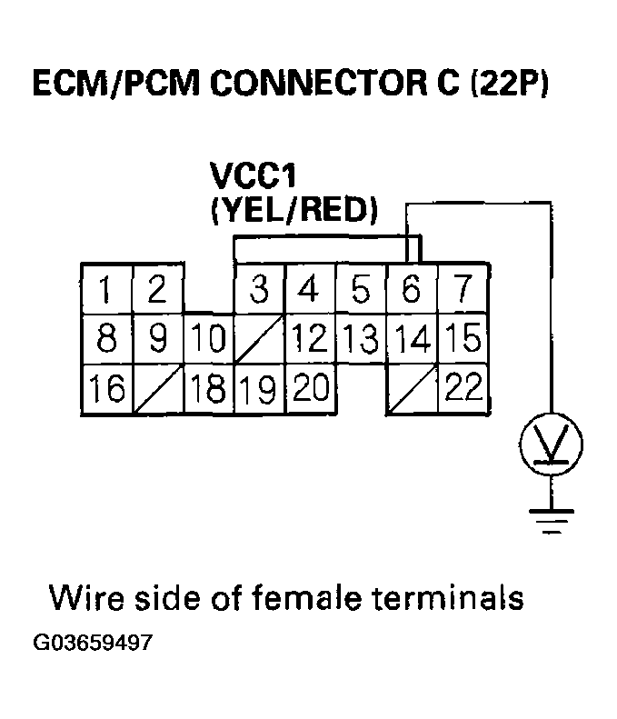 G03659497