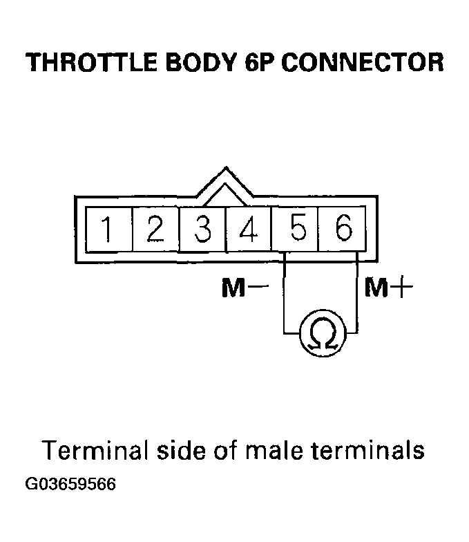 G03659566