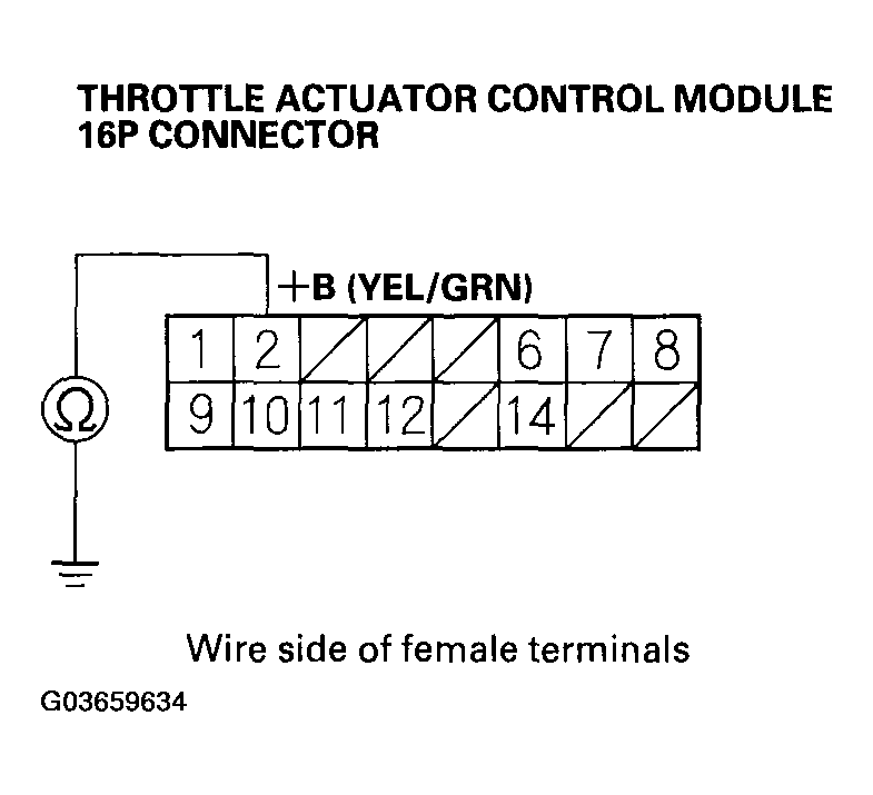 G03659634