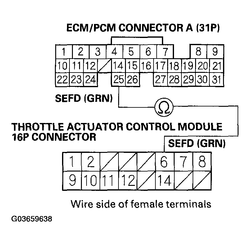 G03659638