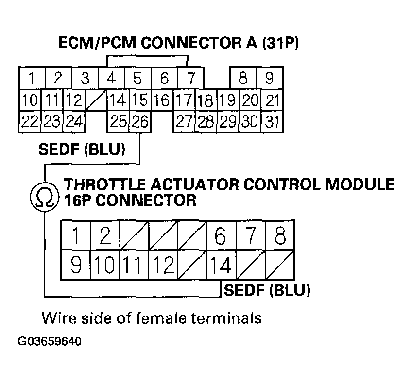 G03659640