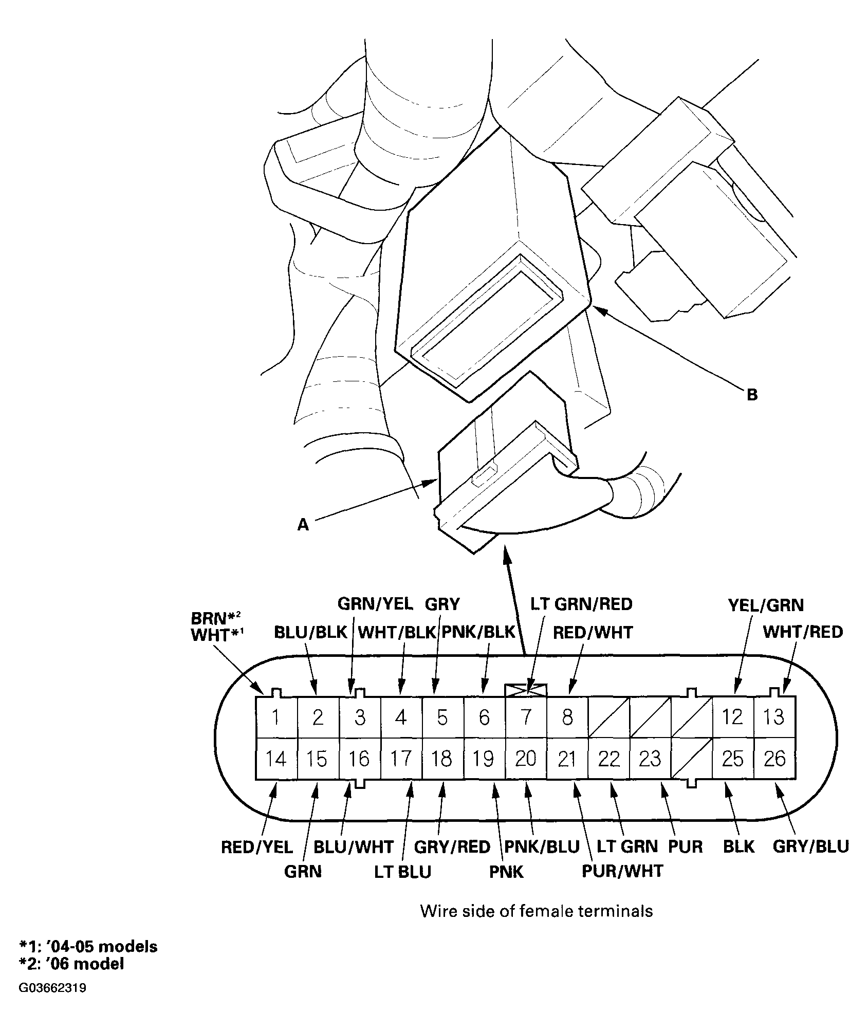 G03662319