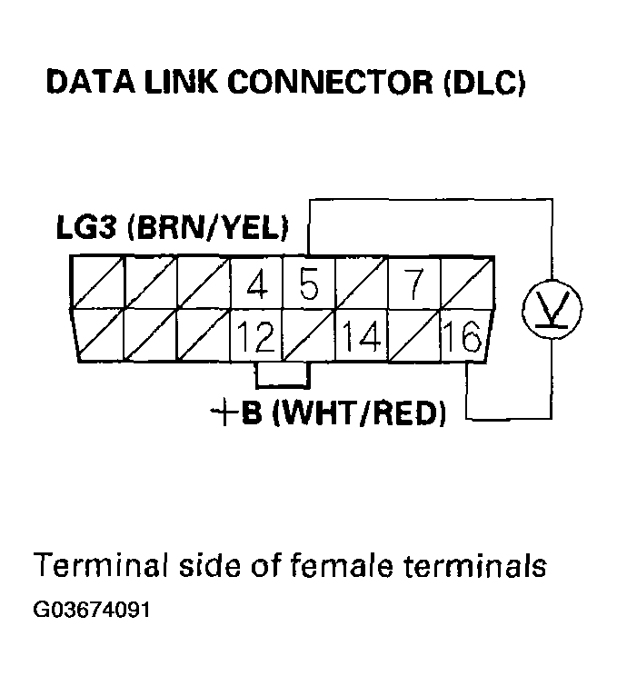 G03674091