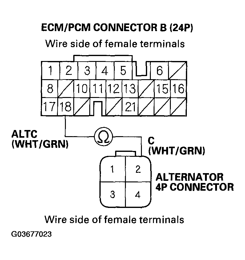 G03677023