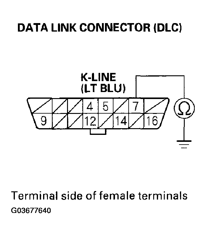 G03677640