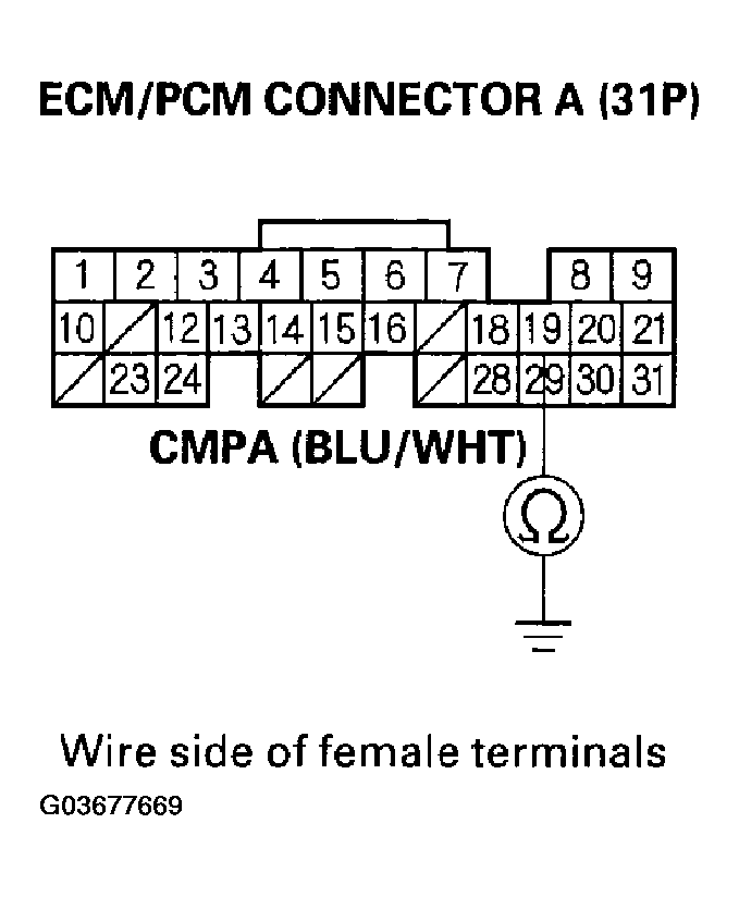 G03677669