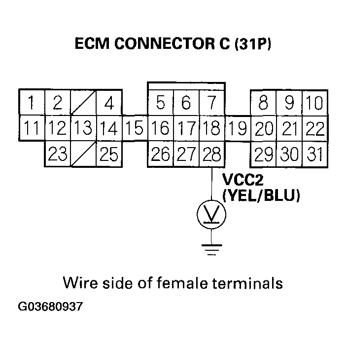 G03680937