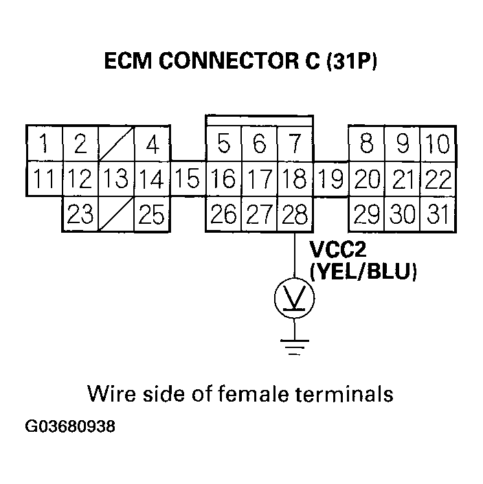 G03680938