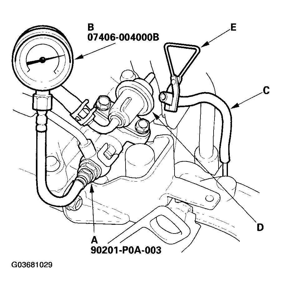 G03681029