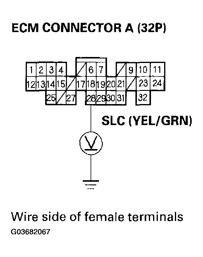 G03682067