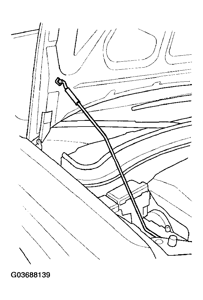 G03688139