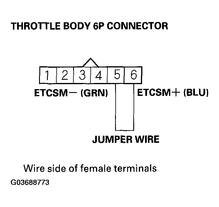 G03688773