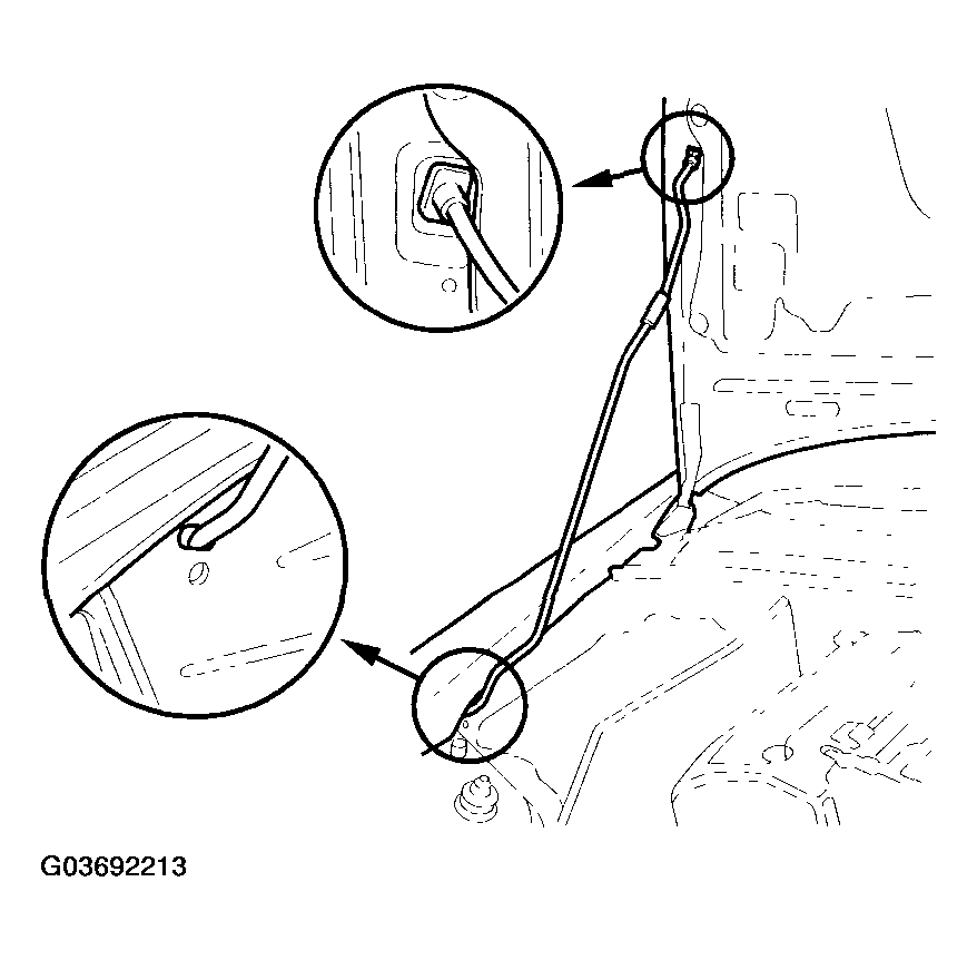 G03692213
