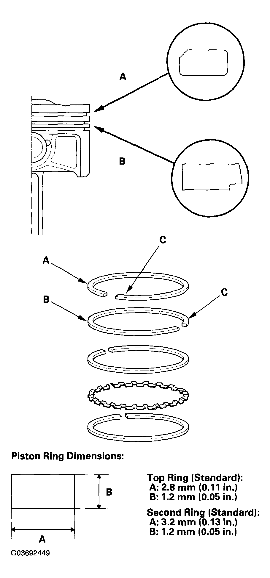 G03692449