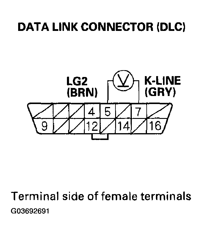 G03692691
