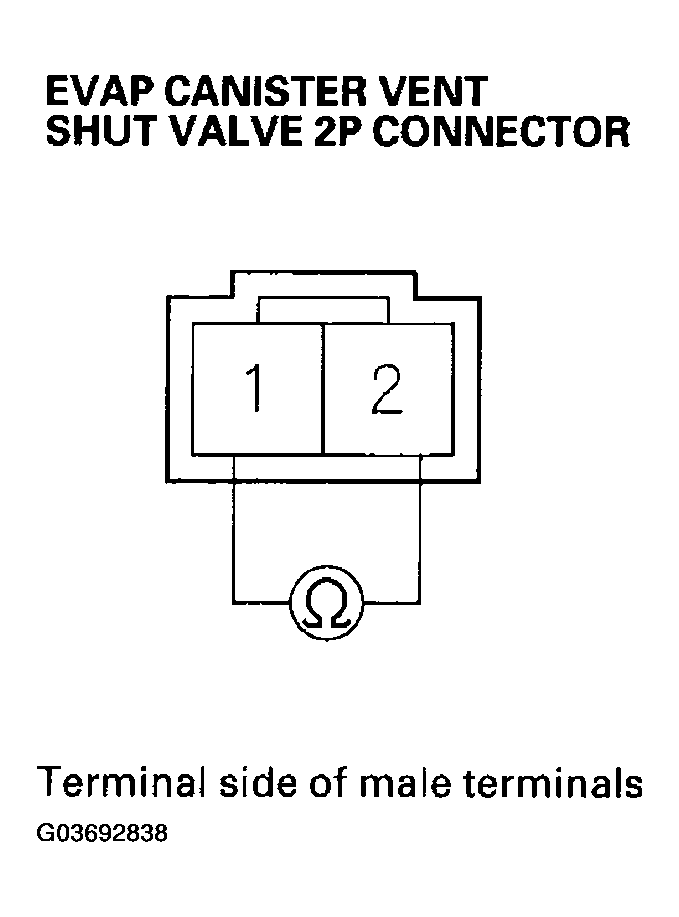 G03692838