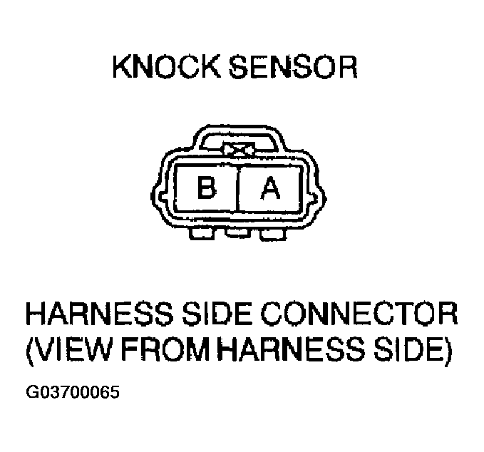 G03700065